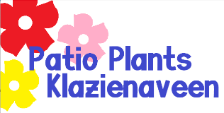 Patio Plants
