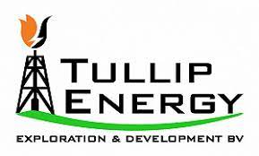 Tullip Energy
