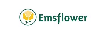 Emsflower